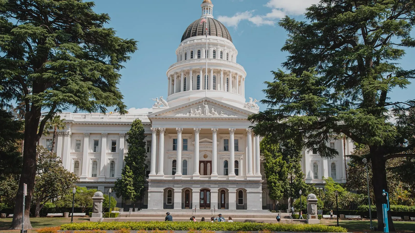 How to Find Bids on Cal eProcure: Step-by-Step Guide